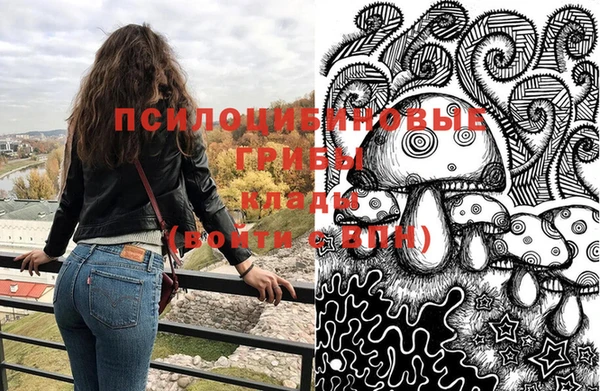 эйфоретик Протвино