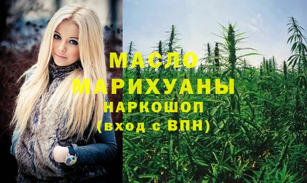 индика Приозерск