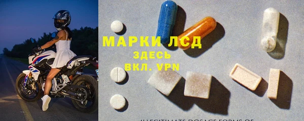 индика Приозерск